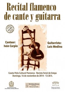 estepa-flamenco-recital-cante-guitarra-ivan-carpio-luis-medina-sevilla-andalucia