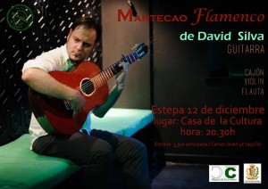 mantecao-flamenco-david-silva-guitarra-cultura-musica-estepa-sevilla-andalucia
