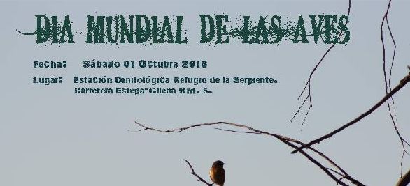 Celebración del Día Mundial de las Aves 2016 en Estepa