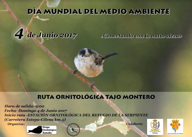 Ruta Ornitológica con motivo del Día Mundial del Medio Ambiente