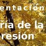 teoria-expresion-libro-estepa-sevilla-andalucia